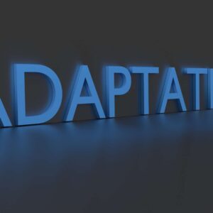 Adaptation - Moving Onward