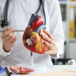 Advanced Anatomy and Physiology Diploma