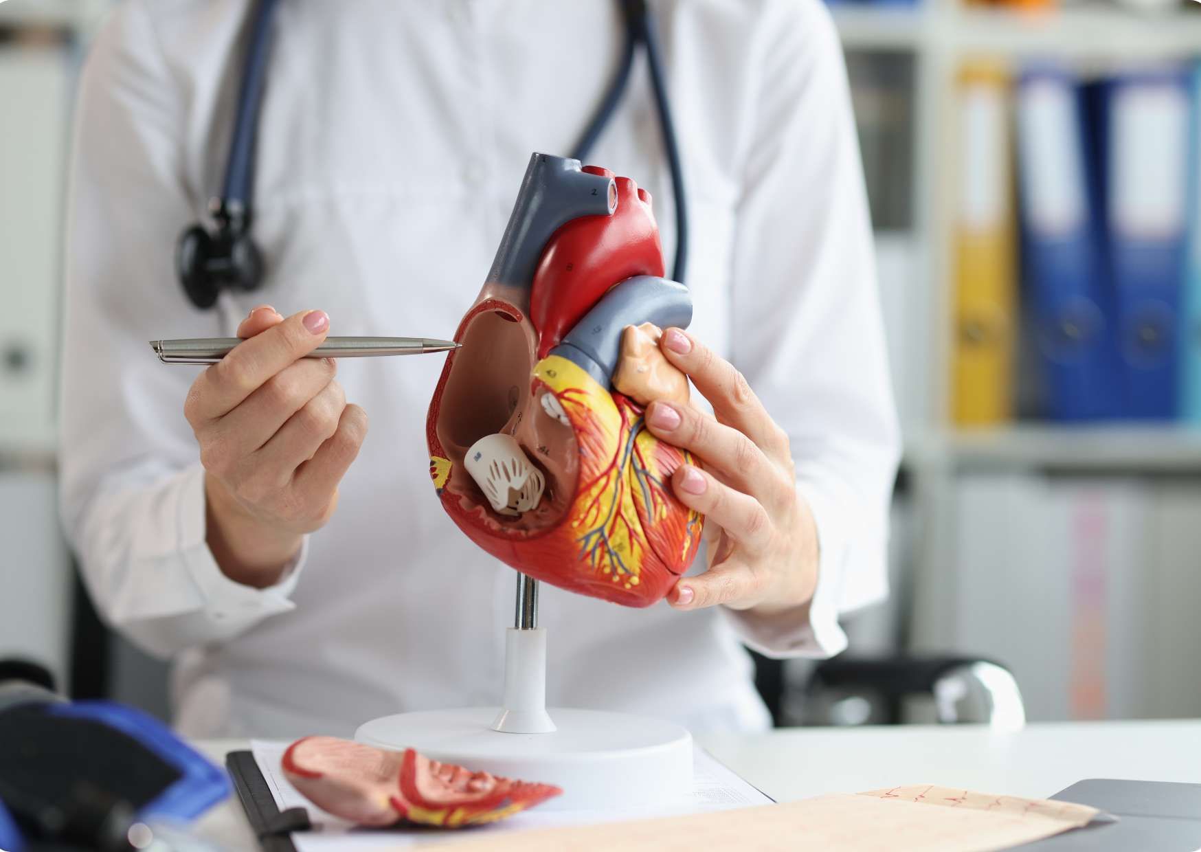 Advanced Anatomy and Physiology Diploma