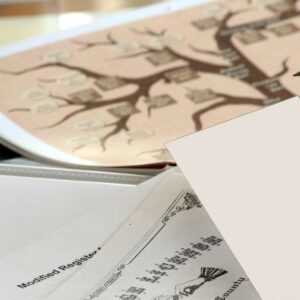Advanced Genealogy Techniques