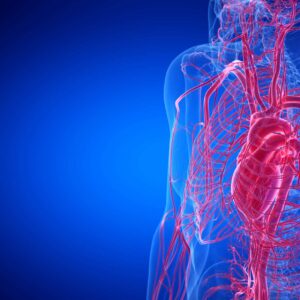 Anatomy and Physiology Certification Program