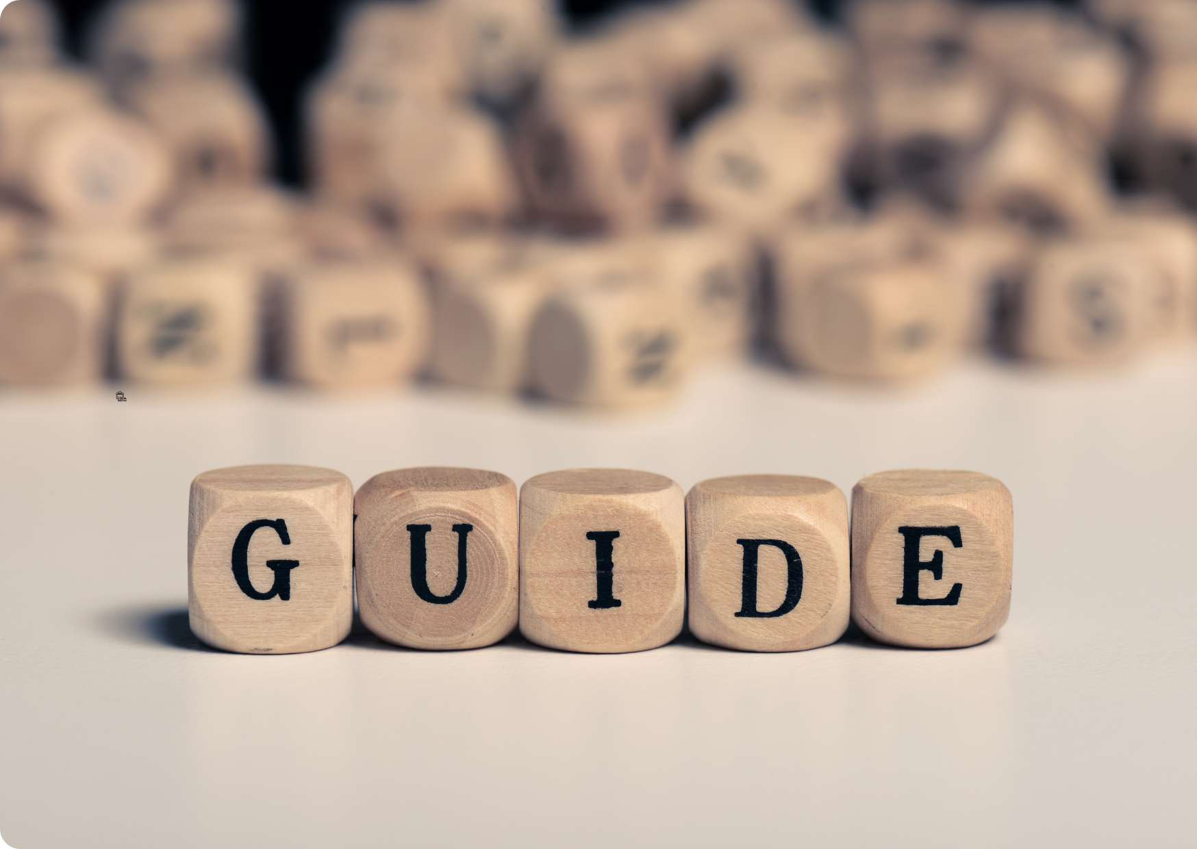 Champion's Guide to Success Strategies