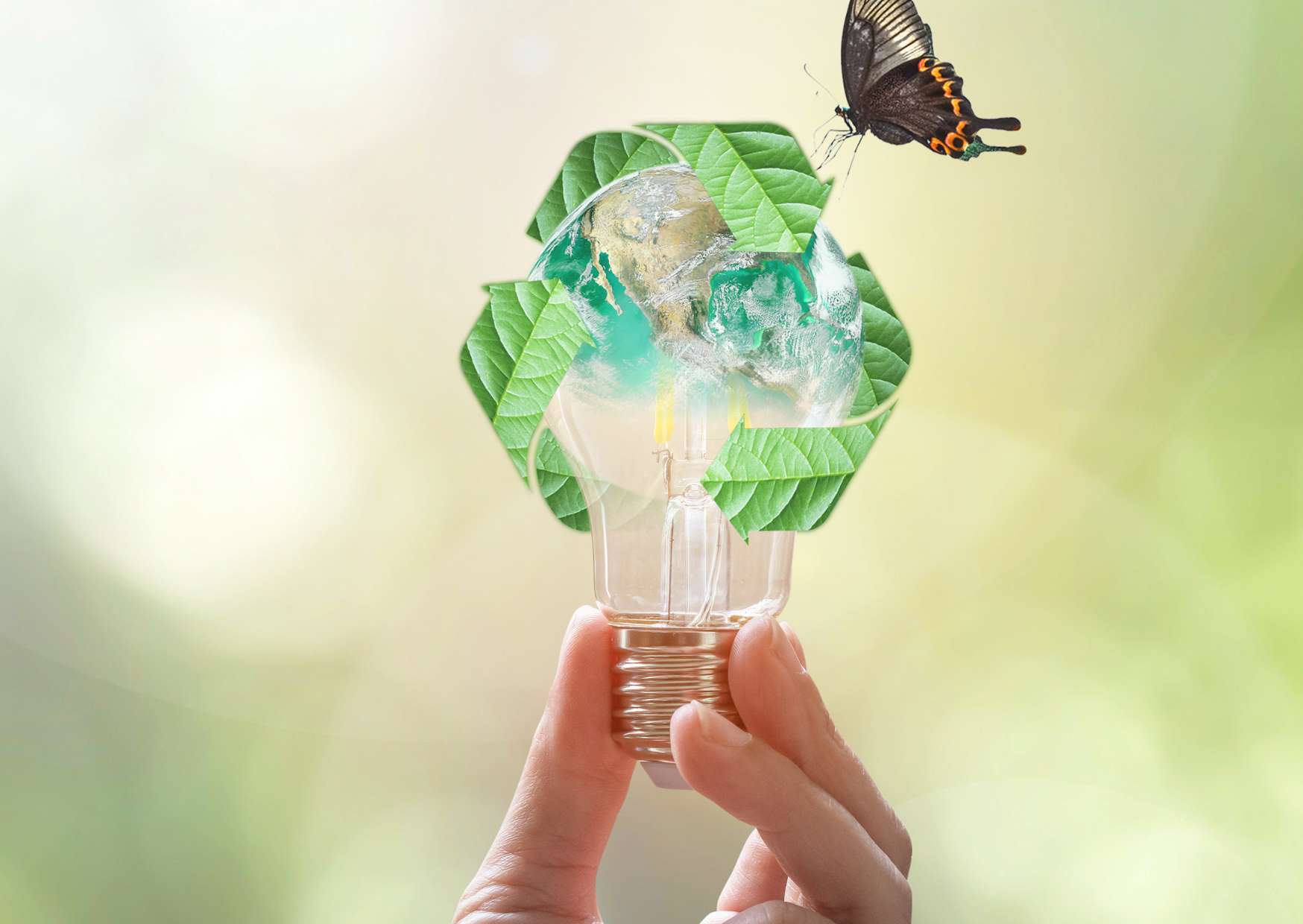 Essentials of Environmental Management