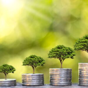 Velocity Wealth Blueprint: Accelerating Financial Growth