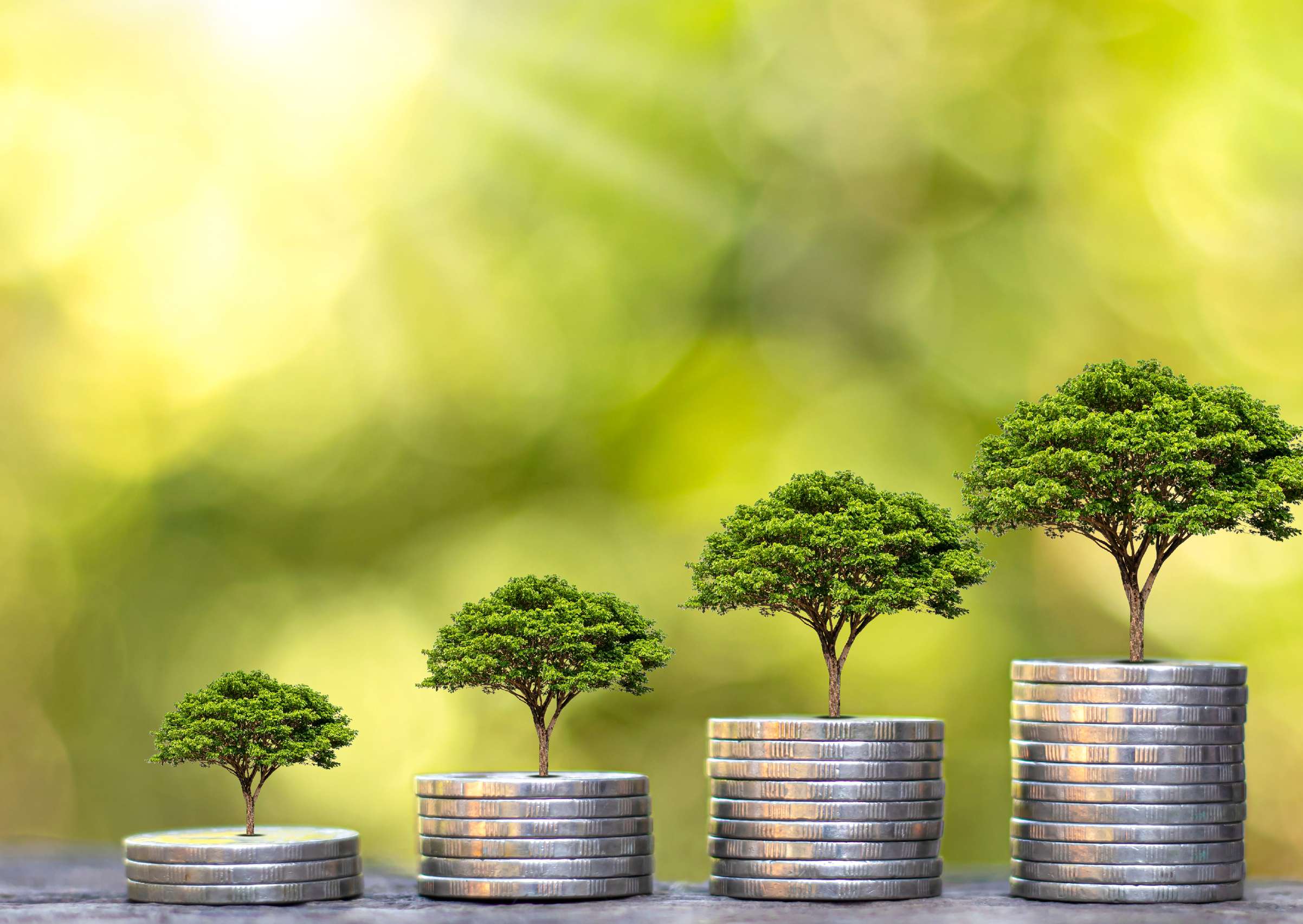 Velocity Wealth Blueprint: Accelerating Financial Growth