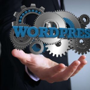 WordPress Expertise: Advanced Version 5.0 Editing